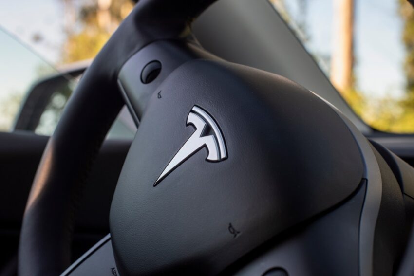 Tesla под прицелом:
