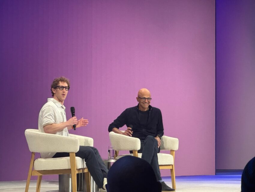 Microsoft CEO: 30%