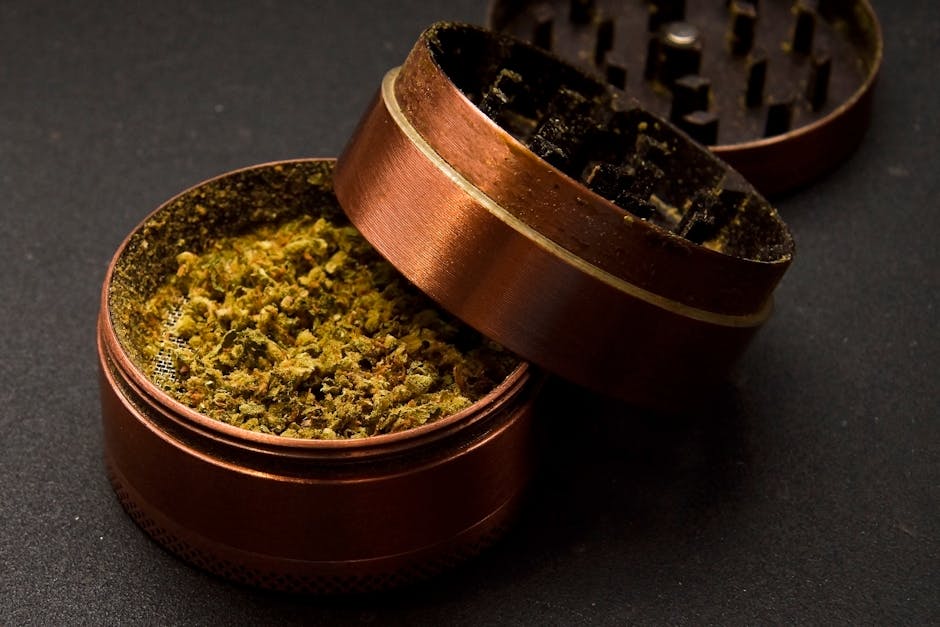 A detailed shot of an open cannabis grinder containing dried marijuana, highlighting its intricate design.